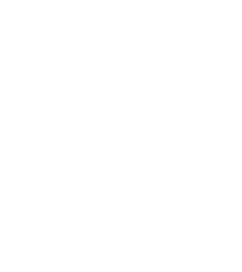 Cultura Zapotlán