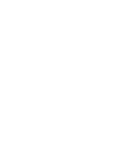 REF Rocinha