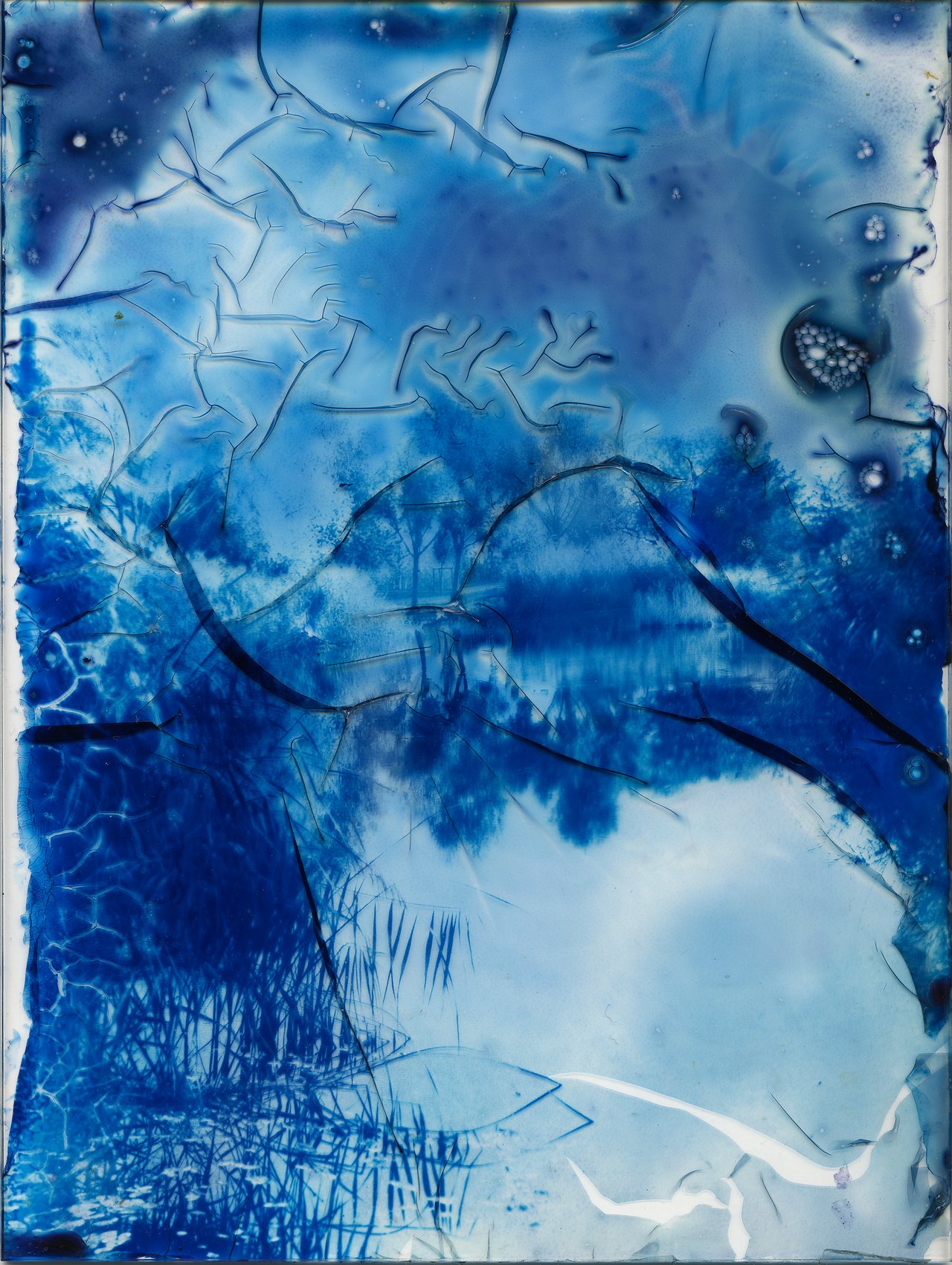 « cyanotypes sur verre », Bagnolet, 2024