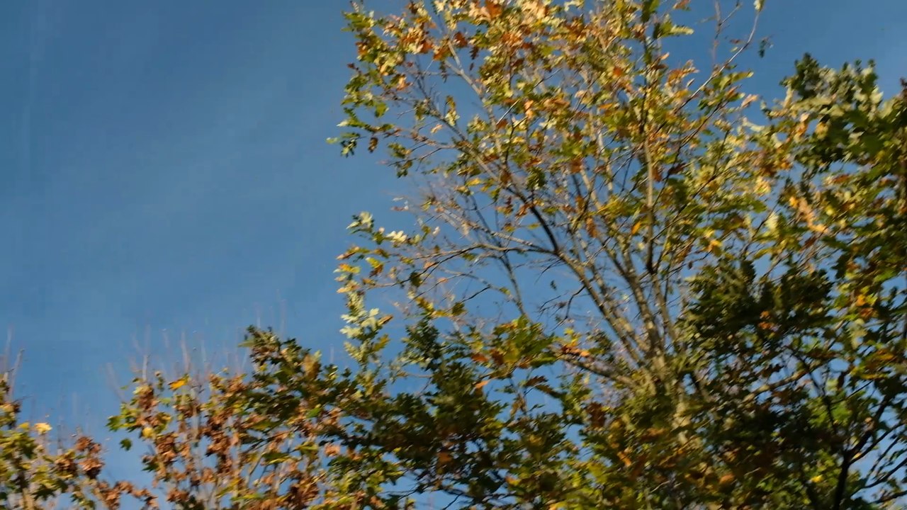 image du film la cité des bulles
