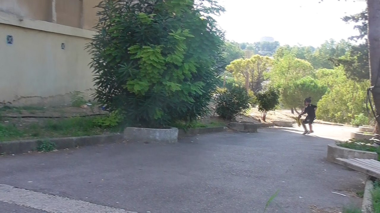 image du film la vie aux ruches