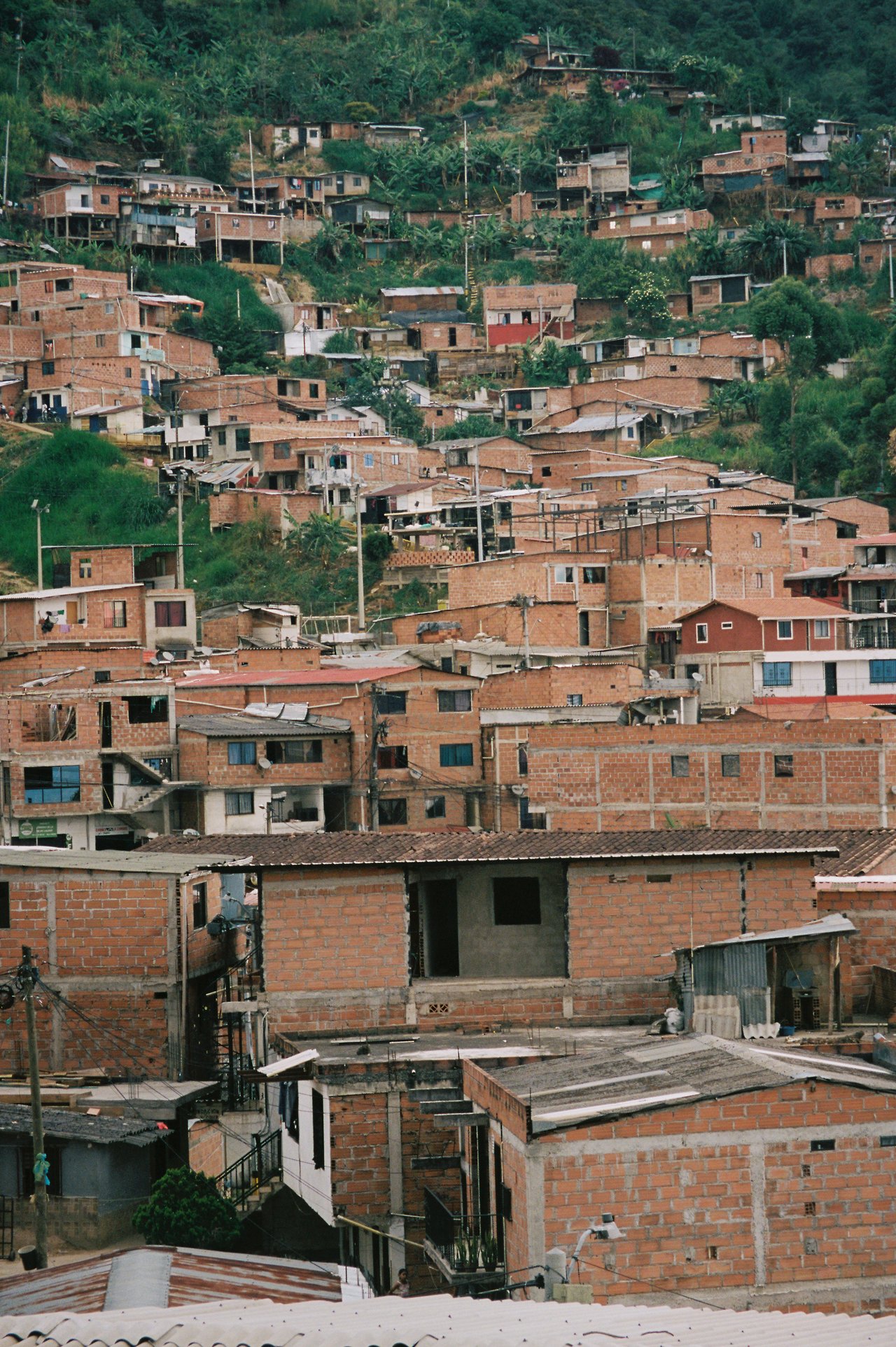 « la comunidad preciosa », Medellín, 2026