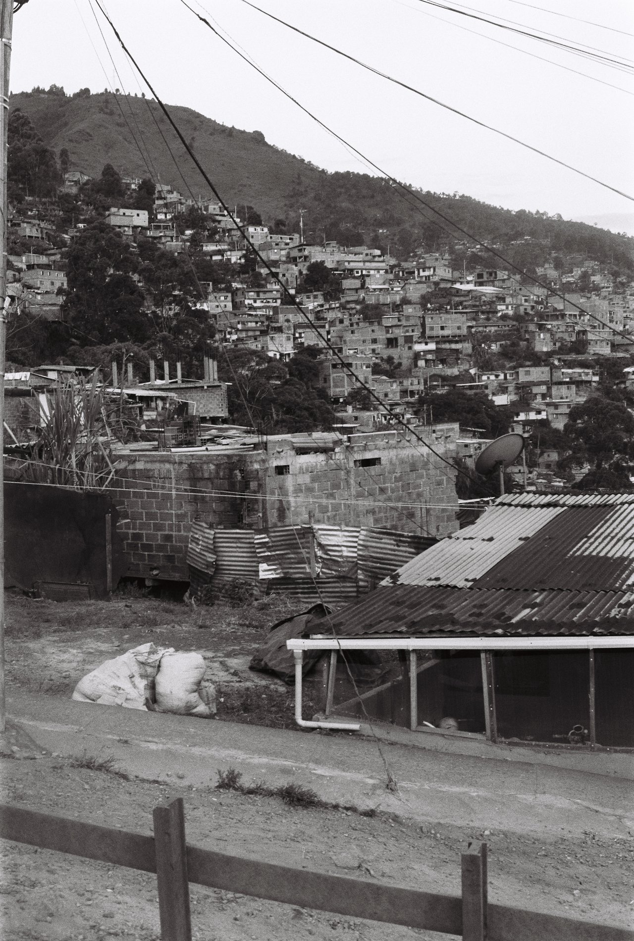 « la comunidad preciosa », Medellín, 2026