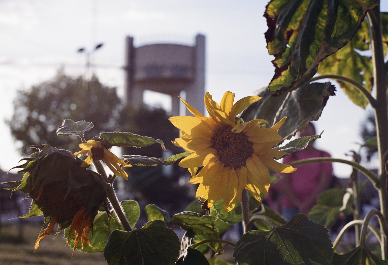 el lenguaje del sol · « la caps, une passion », Valle de Chalco, 2025