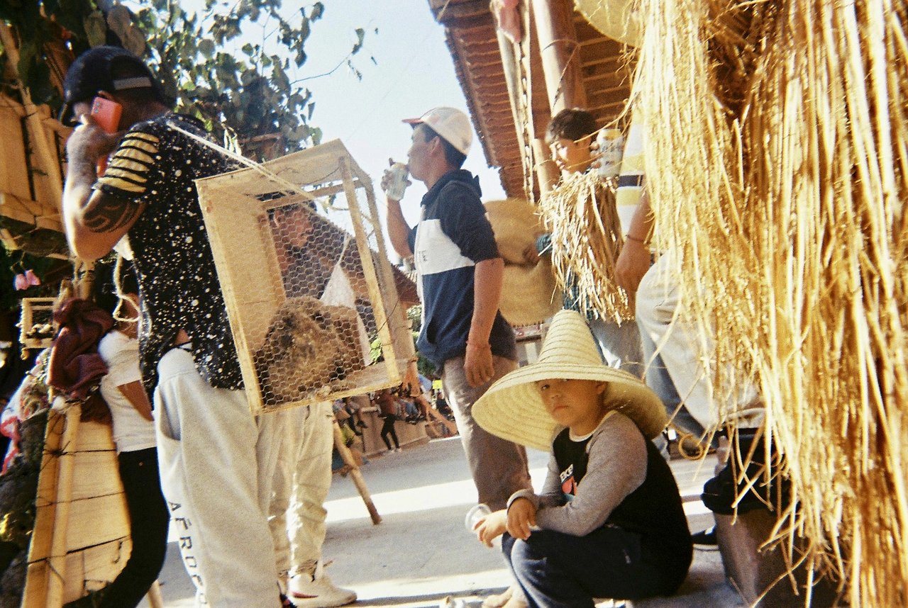 « cherán », Cherán, 2023