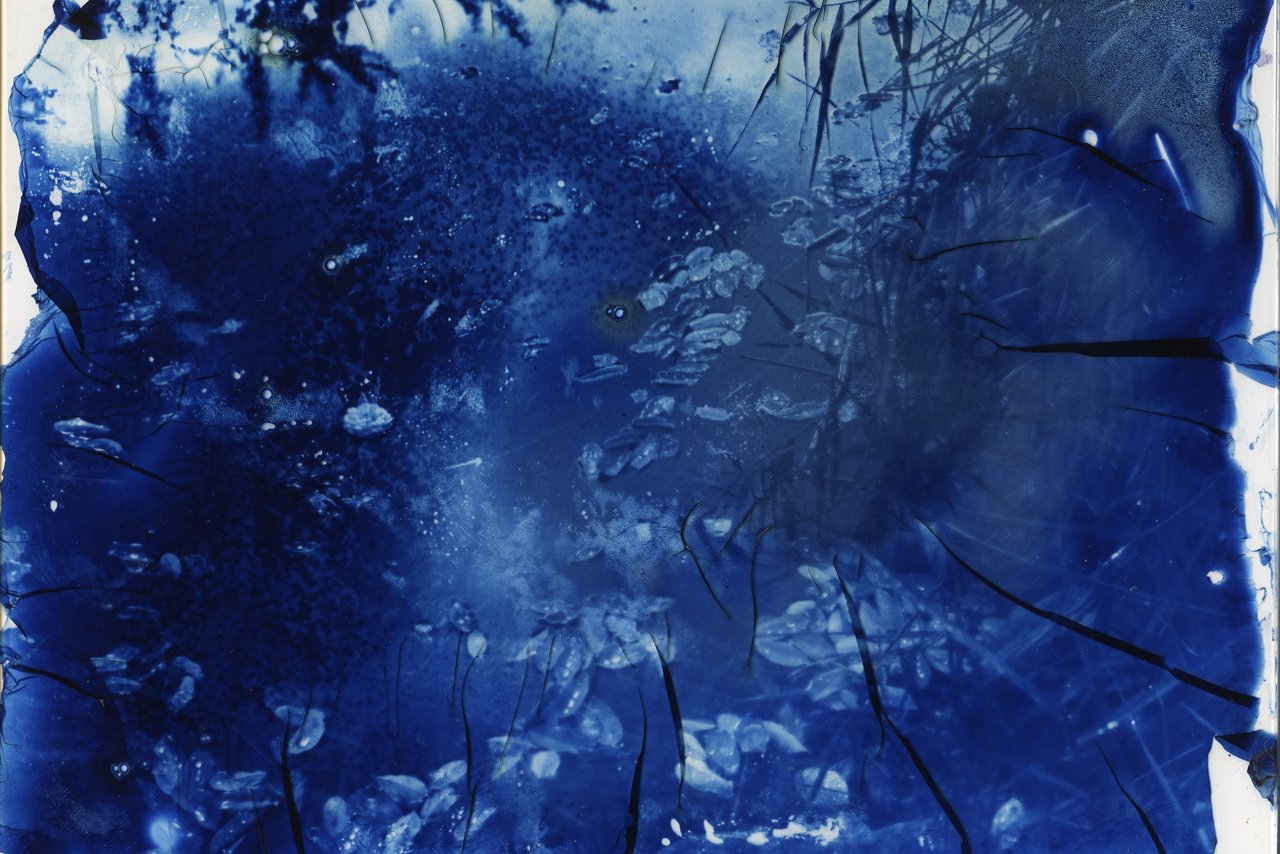 « cyanotypes sur verre », Bagnolet, 2024