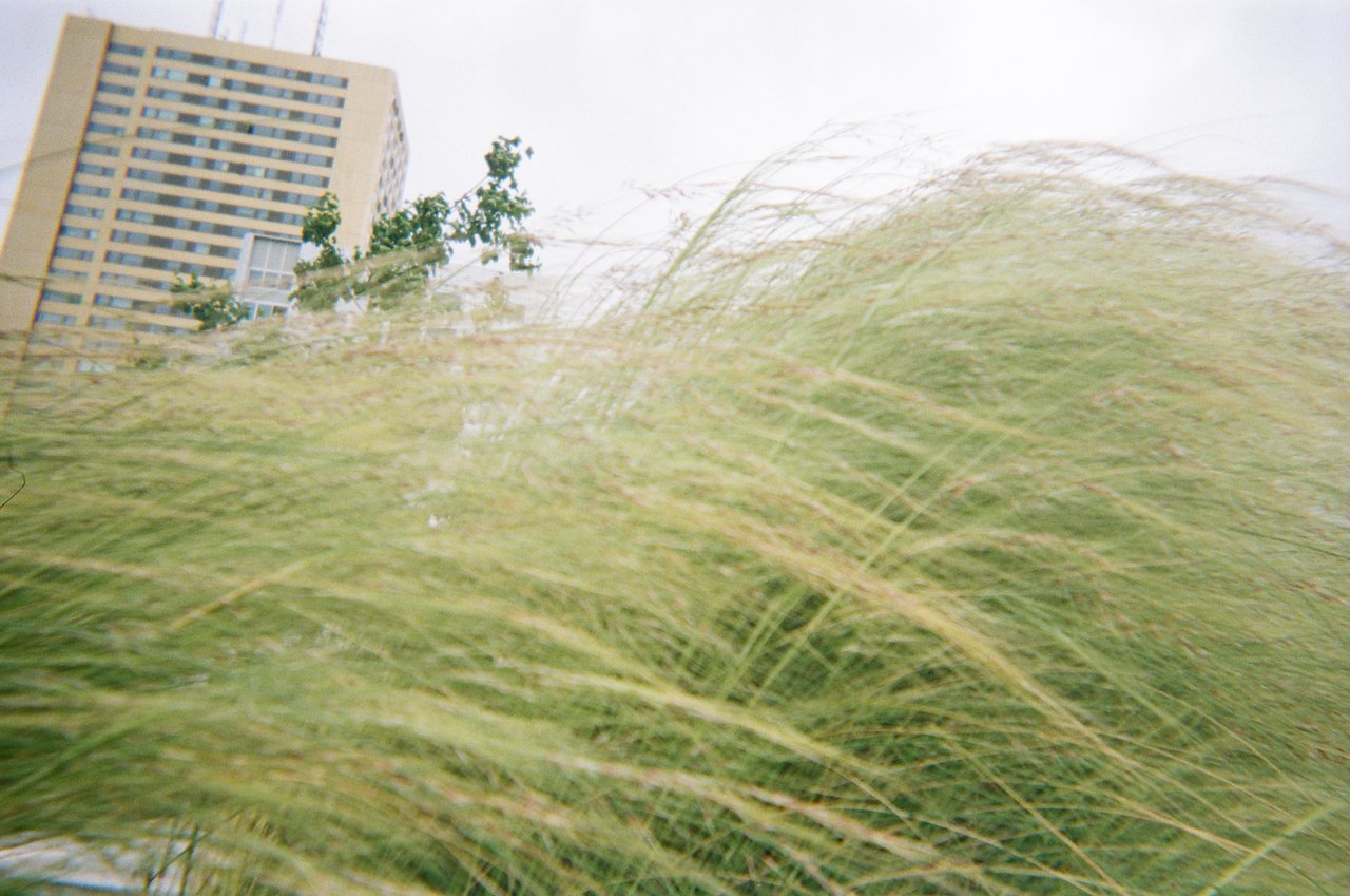 L’herbe · « point de vue à la noue », Bagnolet, 2021
