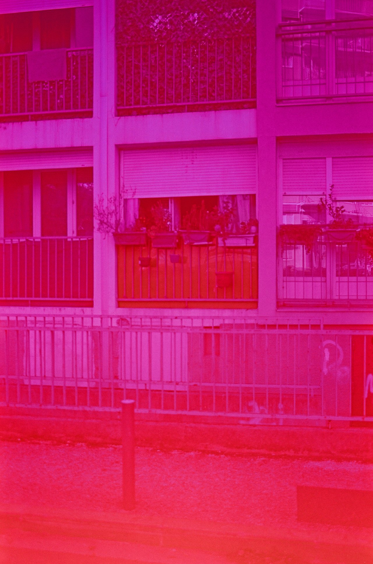 « nous, le petit nanterre », Nanterre, 2025