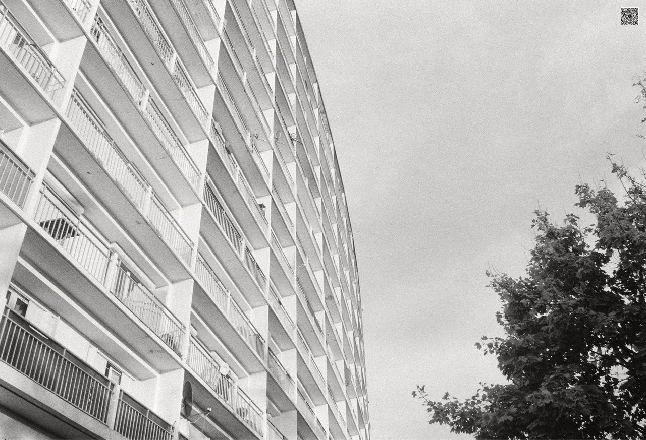 « portraits de champagne », Argenteuil, 2023