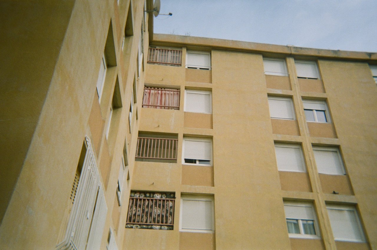 le voisinage · « la galerie des ruches », Marseille, 2023
