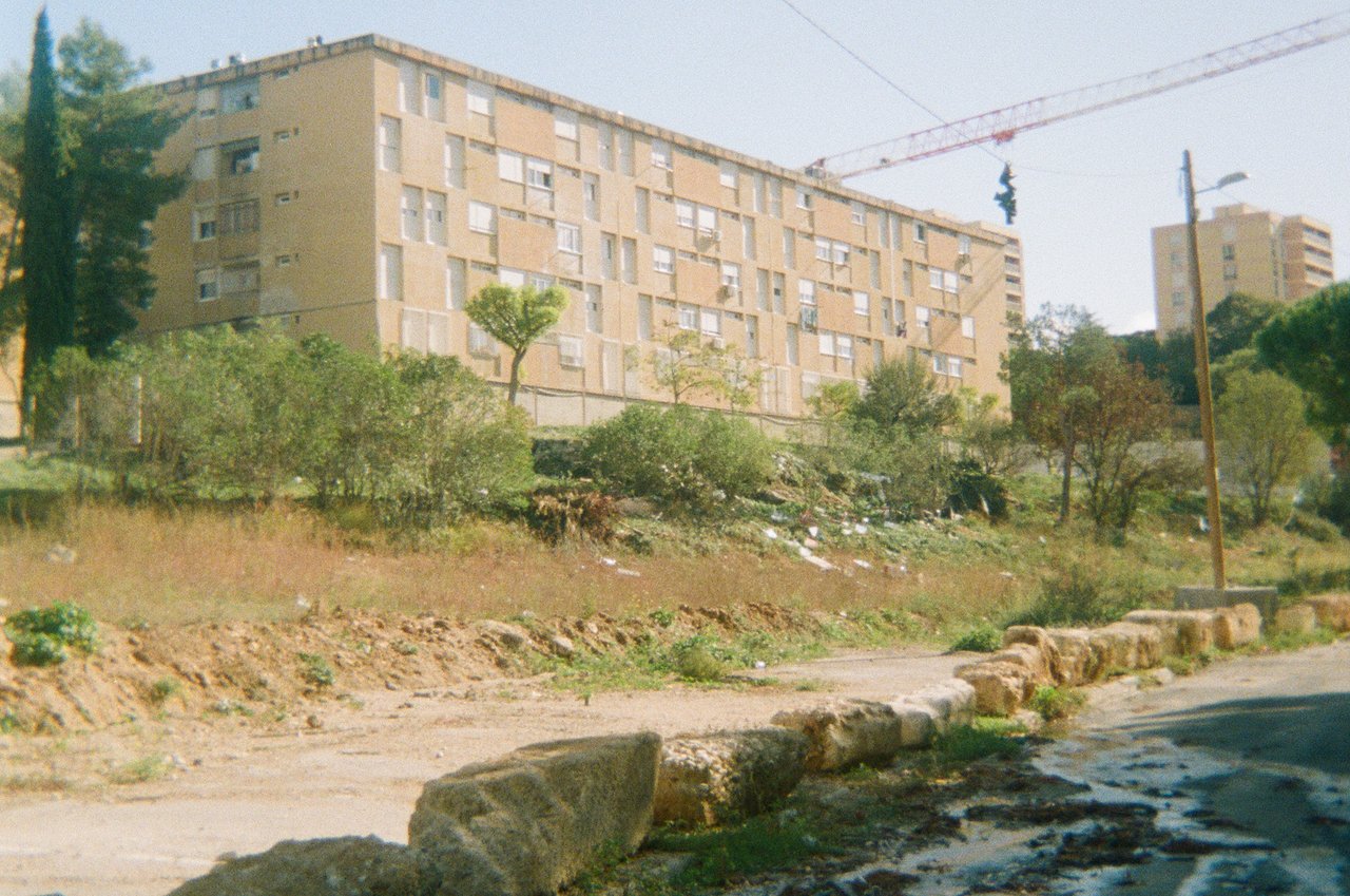 le parcours du combattant · « la galerie des ruches », Marseille, 2023