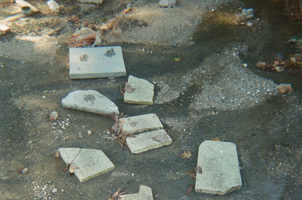chemin de pierres · « la galerie des ruches », Marseille, 2023