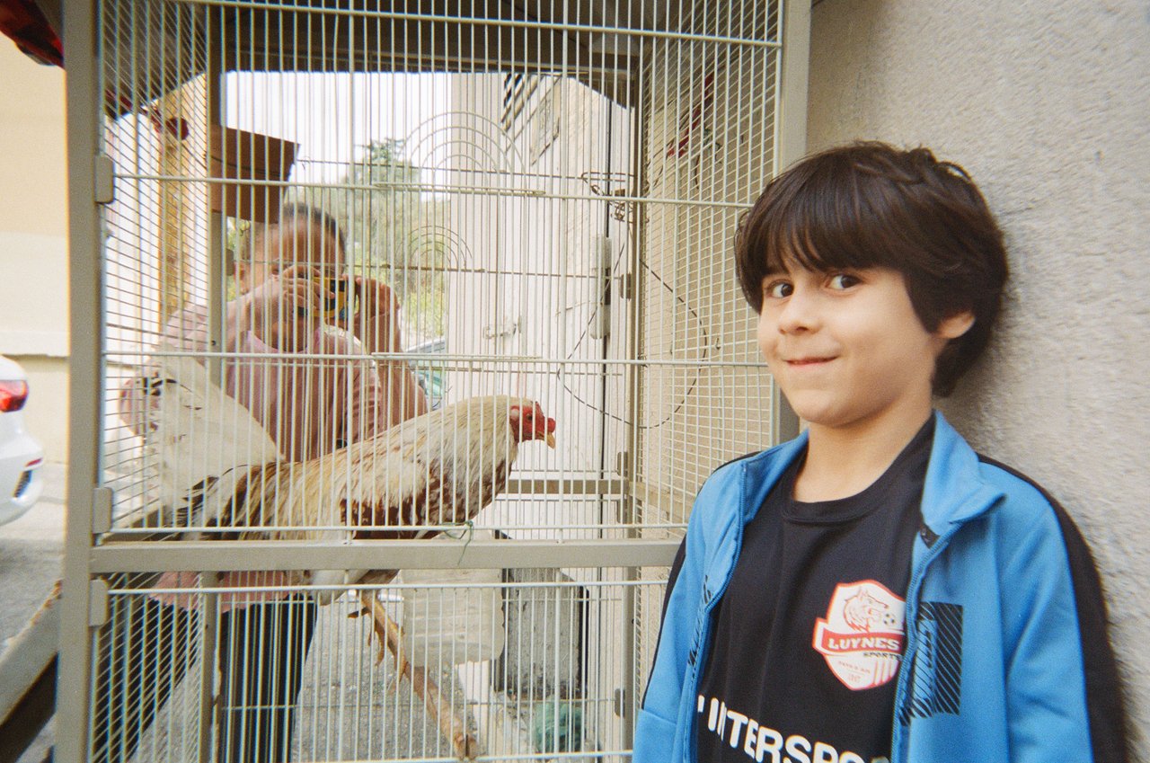 ayoub et le coq de combat · « la galerie des ruches », Marseille, 2023